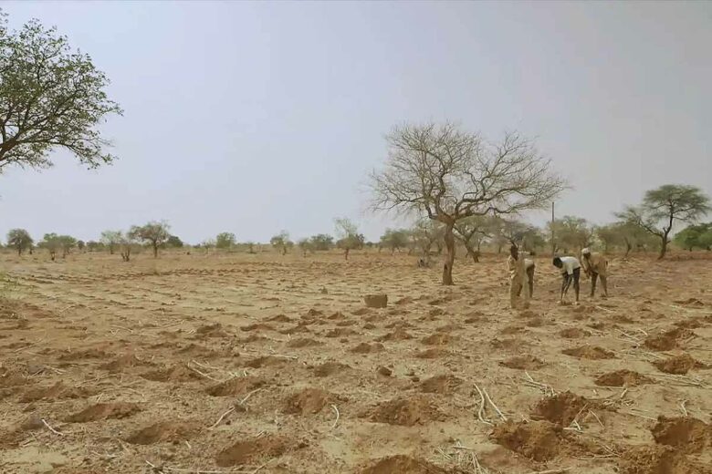 Za Une M Thode Africaine Ancestrale Pour Capturer L Eau De Pluie