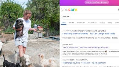 YouCare : le moteur de recherche qui offre des repas aux associations de protection animale !