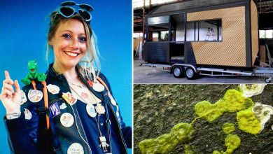 Une Tiny-House low-tech pilotable par un blob... l'incroyable projet de Cécile Ravaux