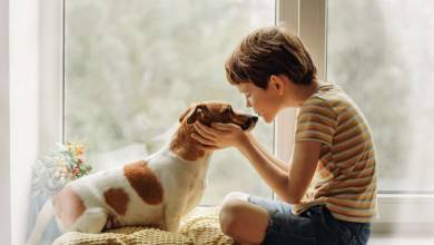 Pourquoi les chiens vivent moins longtemps que nous ? Un petit garçon livre une explication très émouvante !