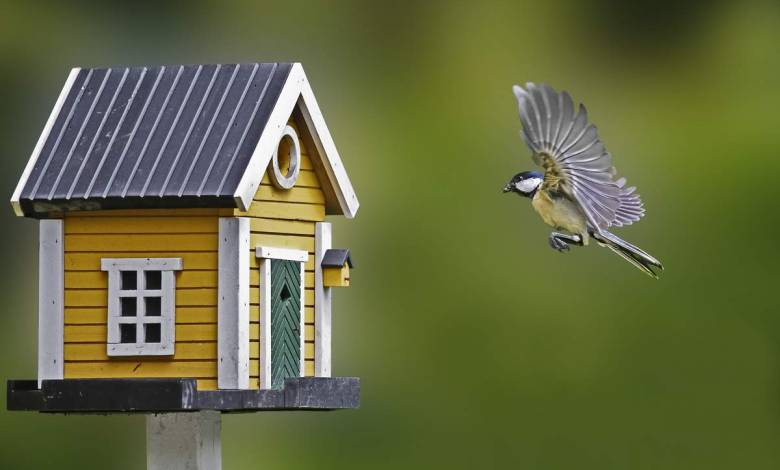 Comment protéger son jardin des oiseaux ? - Blog Jardin Couvert