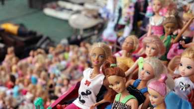 Mattel dévoile une Barbie plus inclusive, avec un fauteuil roulant et une  prothèse de jambe - NeozOne