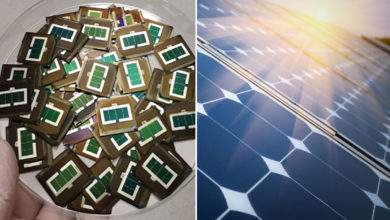 Kaust : découverte d’un procédé pour améliorer le rendement des panneaux solaires de 27%