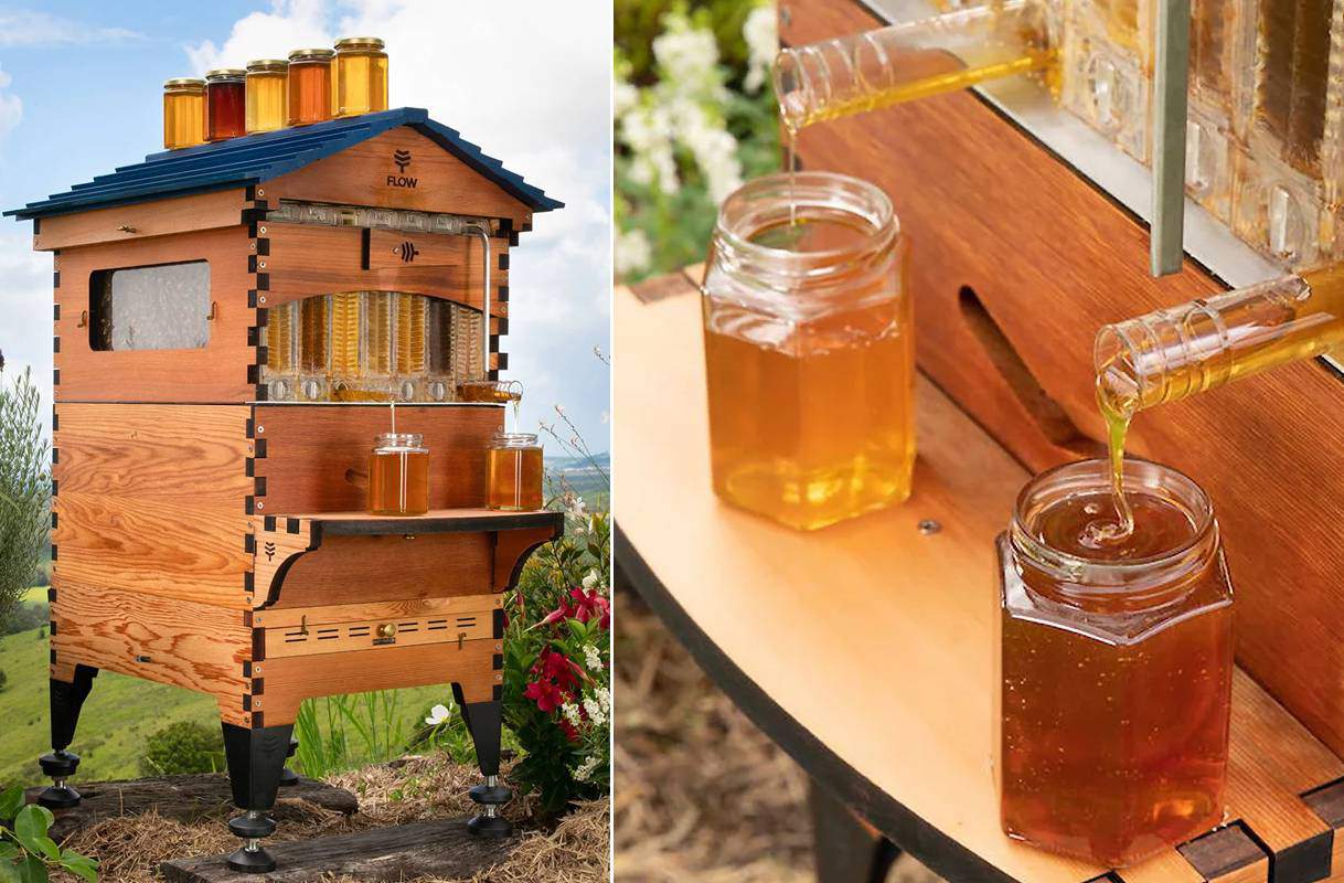 Faire du miel directement dans les pots