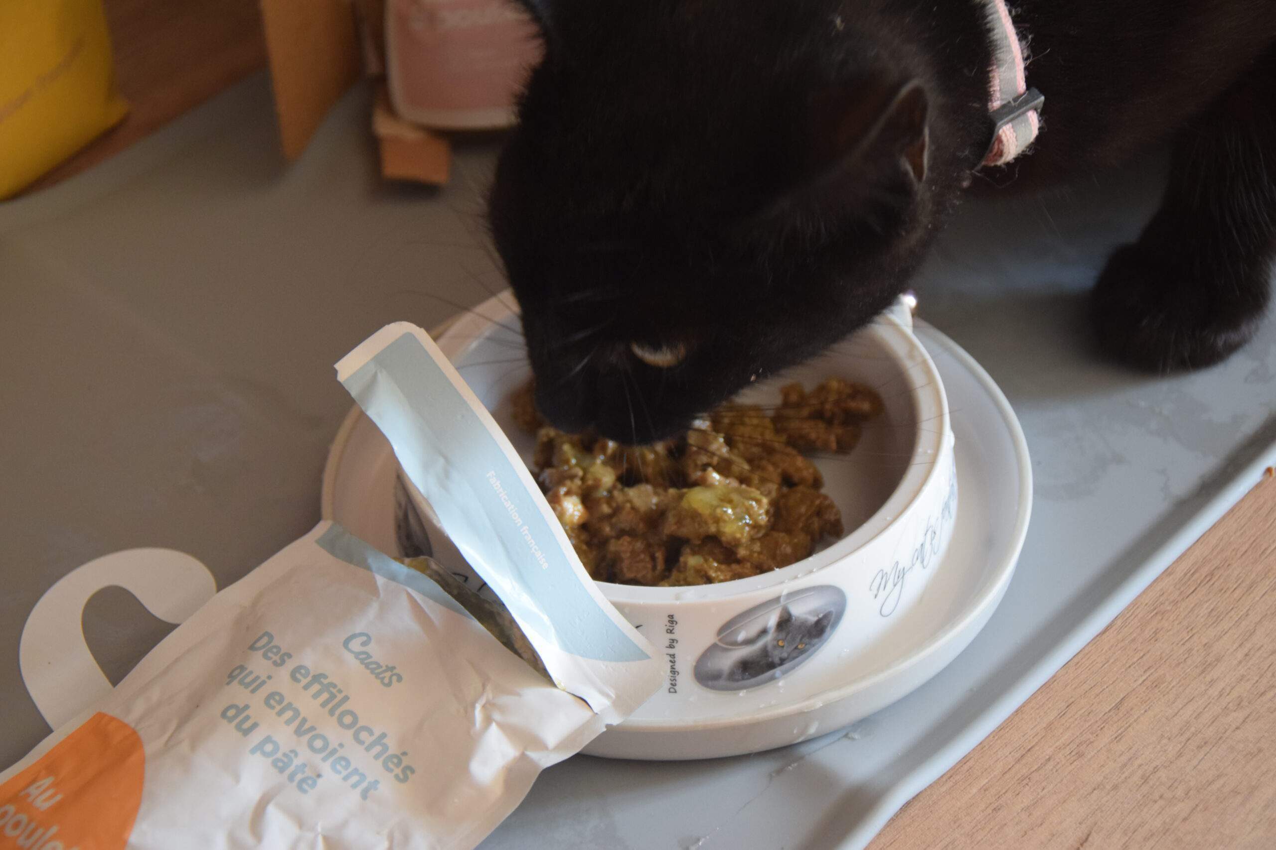 Nous avons testé (nos chats) l'alimentation 100% française CATS - NeozOne