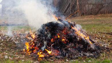 Il est interdit de brûler des déchets verts dans son jardin, mais il est possible d'avoir une dérogation