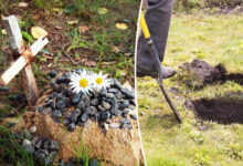 Enterrer un animal de compagnie dans son jardin