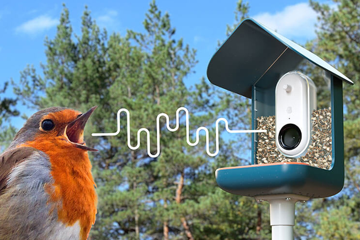 Ne manquez Plus jamais Un Oiseau - Caméra Intelligente for