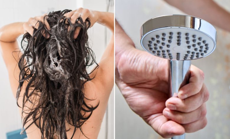 Recuperateur cheveux douche au meilleur prix