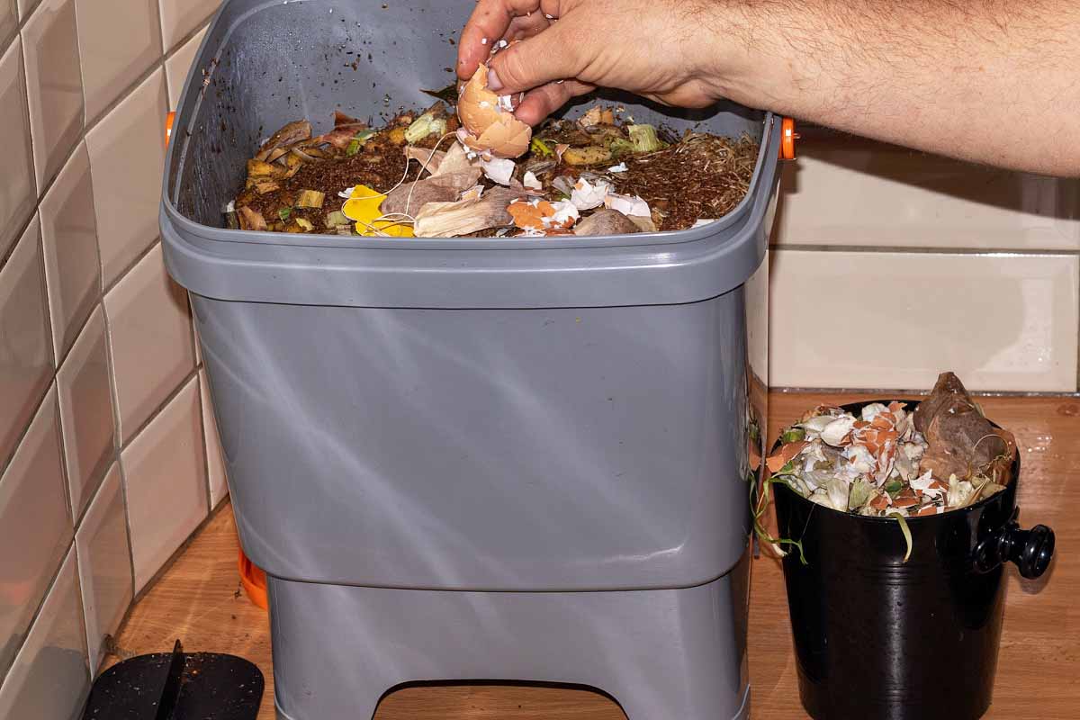 Bac à compost en acier inoxydable : stocker les déchets de cuisine sans  odeurs