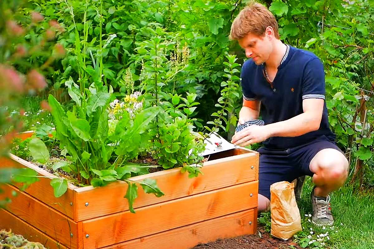 Le compost au jardin : bon pour les plantes, pour le potager et