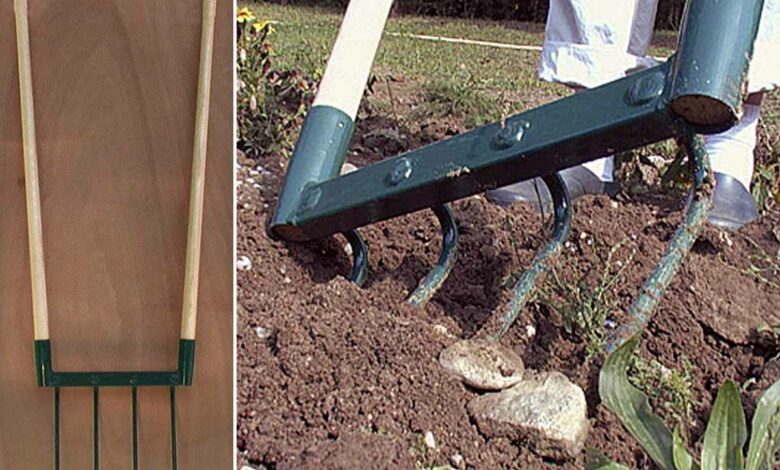 Grelinette : inventé il y a plus de 50 ans, cet outil de jardin revient en  force grâce à la permaculture - NeozOne
