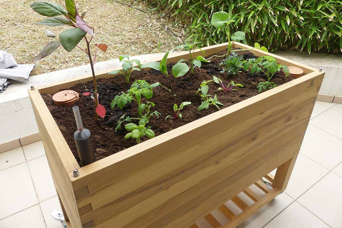 Guide d'achat : comment choisir un composteur de jardin ? - NeozOne