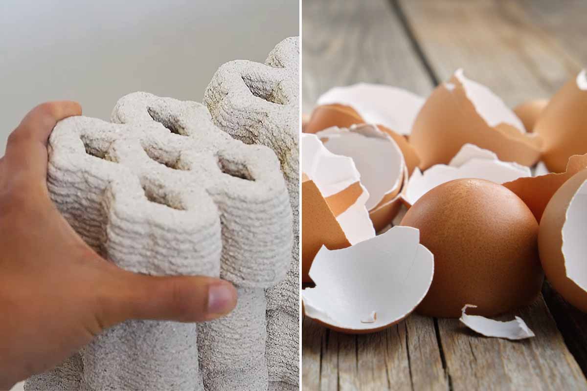 EggBricks: die Erfindung von biokeramischen Ziegeln, einem Baumaterial aus Eierschalen
