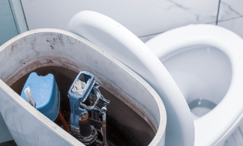 Douchette wc : la révolution dans vos toilettes et un économiseur efficace