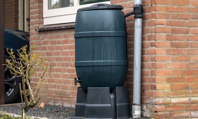 Installer un baril ou une citerne pour recueillir l'eau de pluie