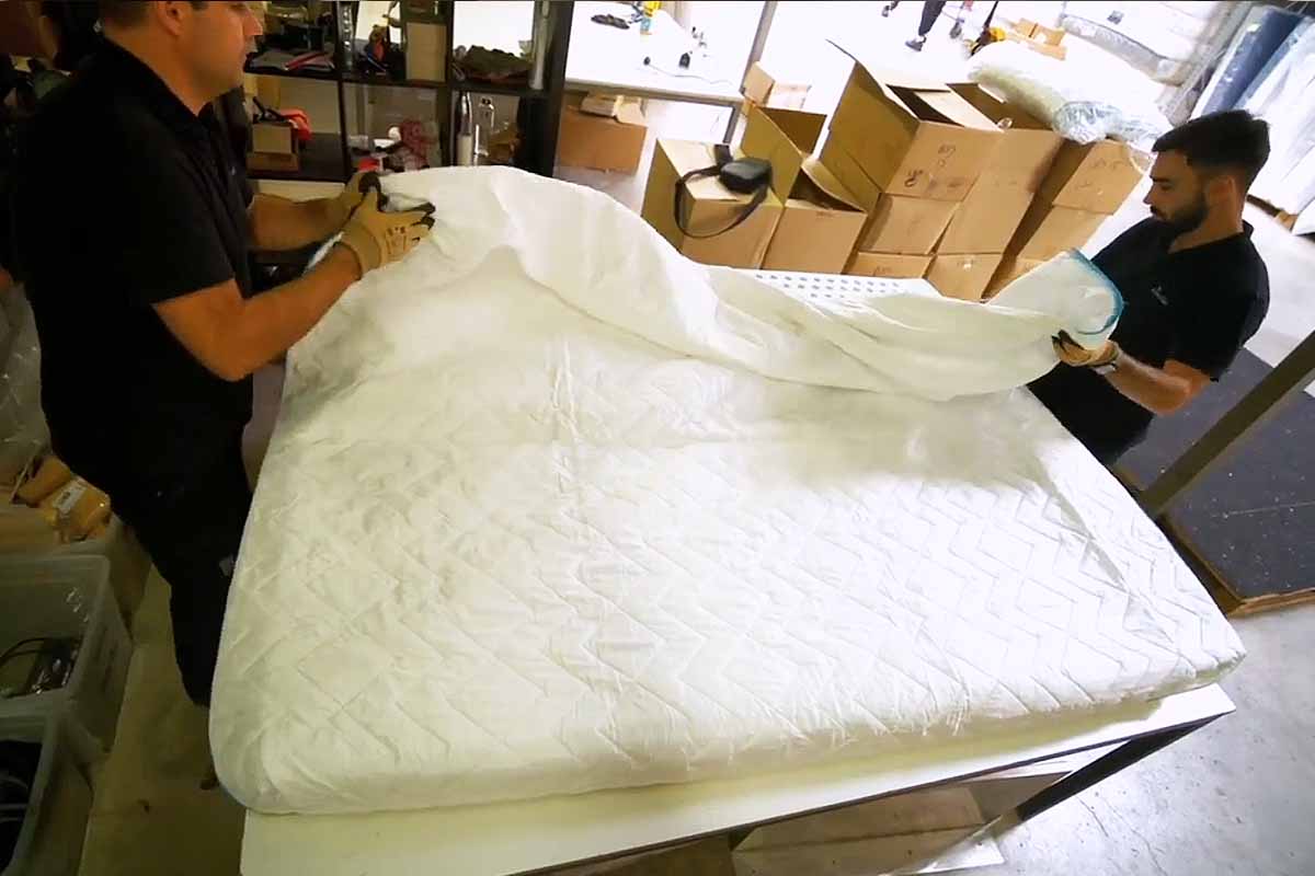 Comment fabriquer un piège à punaises de lit « simple mais redoutablement  efficace » ? - NeozOne