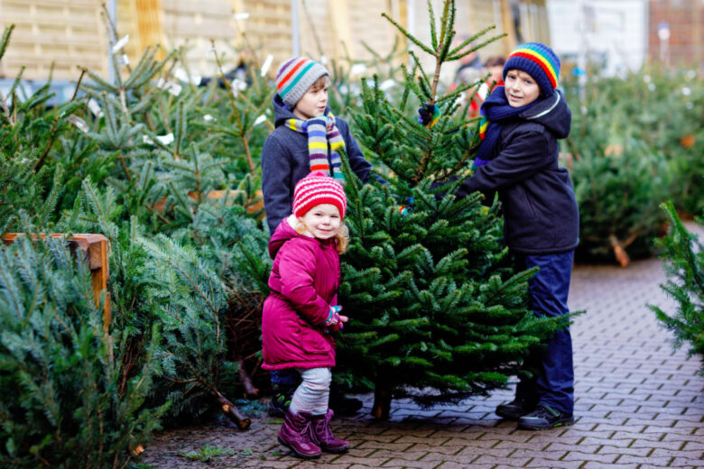 Ils modifient l'ADN d'un sapin pour créer un arbre de Noël « plus grand