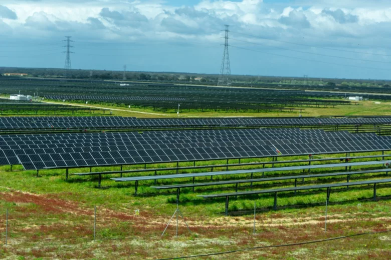 Un projet pour faciliter la maintenance et l'entretien des panneaux solaires, une aubaine pour les fermes solaires composées de milliers de panneaux.