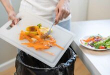 Le recyclage des déchets alimentaires en compost est une bonne solution, mais cela présente aussi quelques inconvénients.