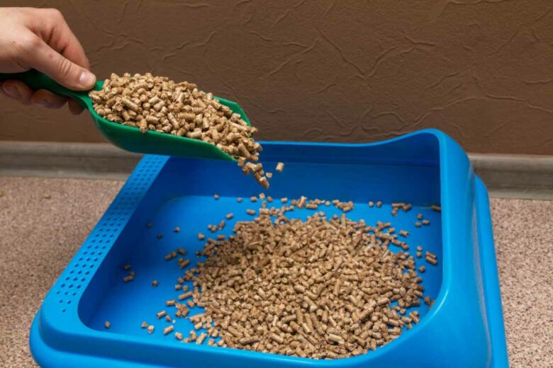 Les pellets peuvent servir de litière pour votre chat.