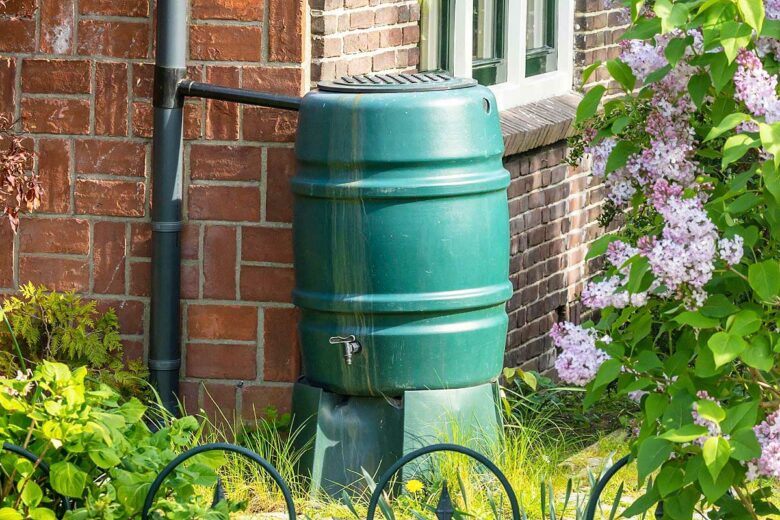Utilisez un récupérateur d'eau de pluie équipé d'un couvercle. 