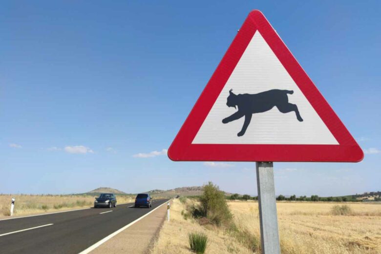 Un panneau de signalisation prévenant de la présence de lynx.
