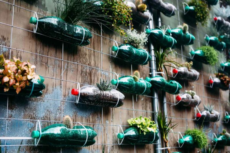 Un mur végétal avec des bouteilles plastiques pour les cactus et les plantes grasses.