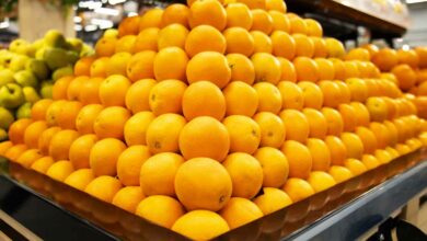 Saviez-vous que l'orange était un répulsif naturel pour certains nuisibles ?