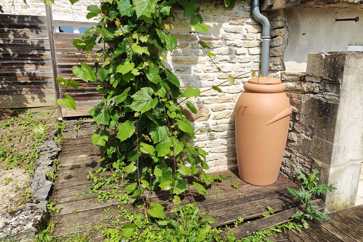 Un récupérateur d'eau qui s'intègre parfaitement à son environnement.