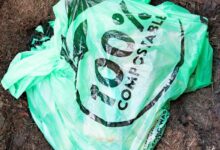 Ces sacs en bioplastiques sont-ils réellement compostables ?