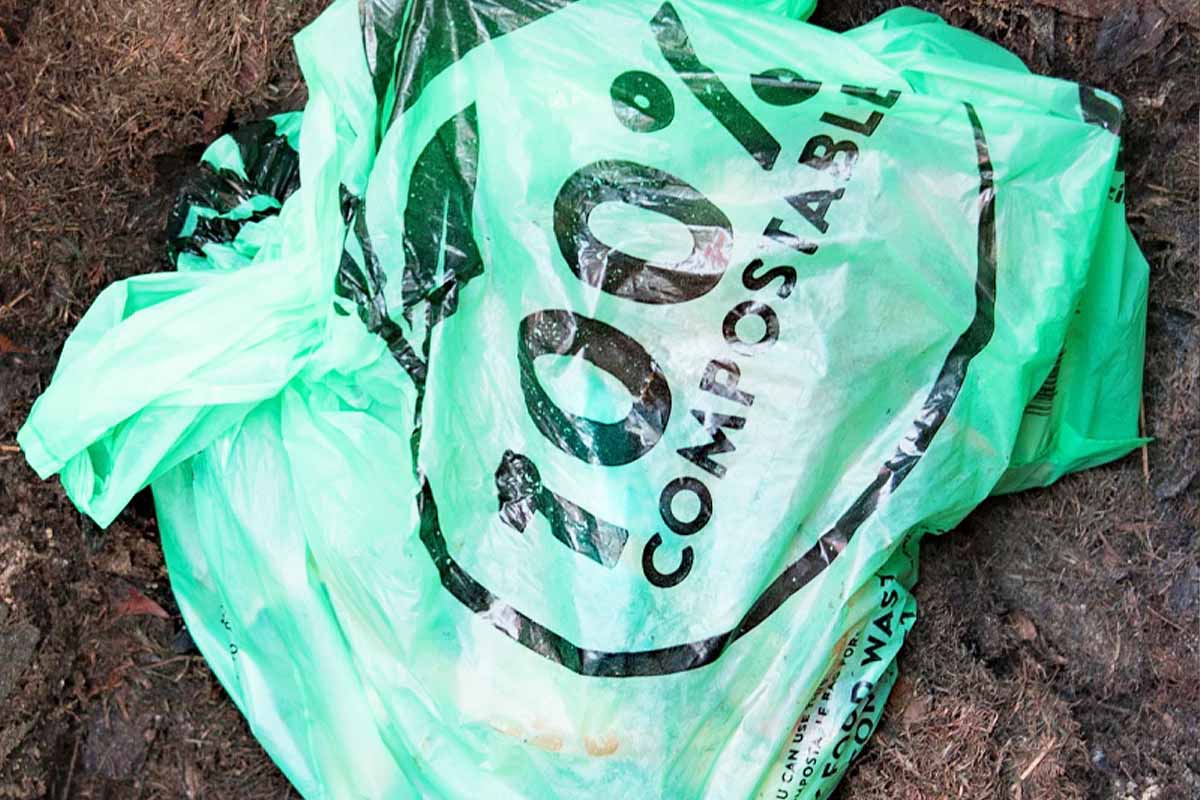 Ces sacs en bioplastiques sont-ils réellement compostables ?
