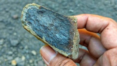 Une roche contenant du minerai de fer.