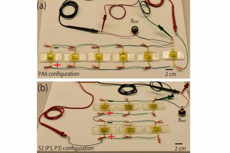 Configurations de réseau des µPSC. ( a ) Configuration PA6 ( b ) Configuration S2 (P3, P3).