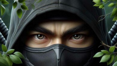 Nous avons tous l'image du ninja comme un assassin furtif.