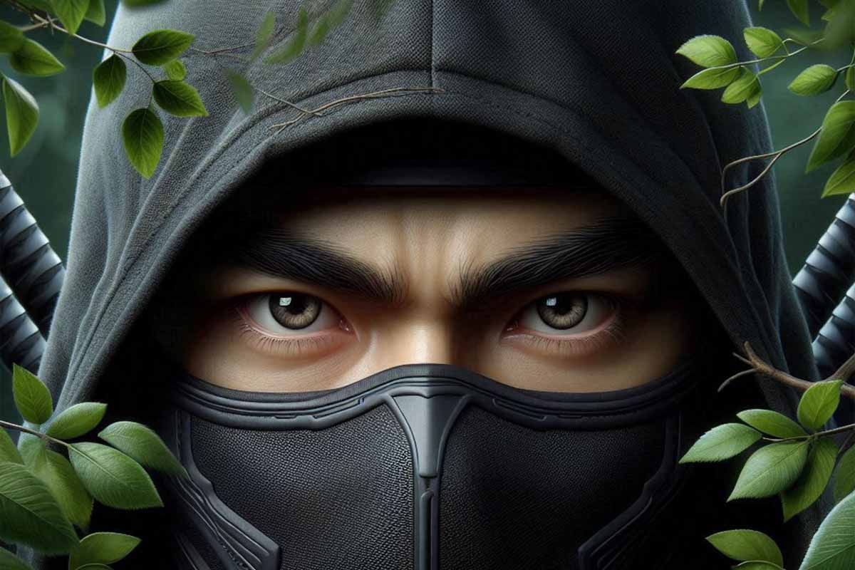 Nous avons tous l'image du ninja comme un assassin furtif.