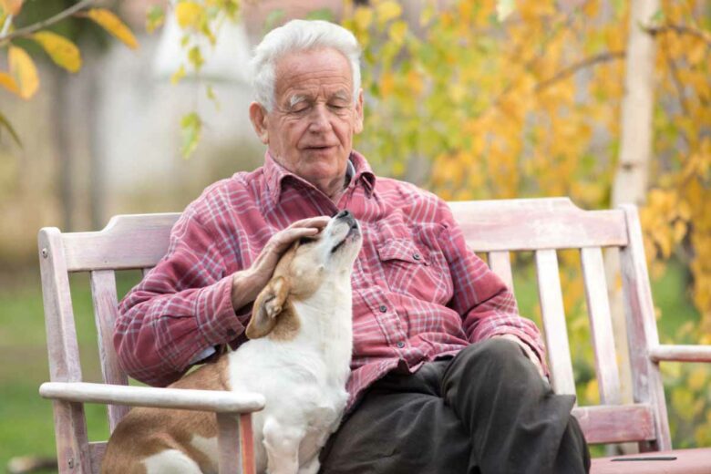 Pour une personne âgée, avoir un chien permet de rompre la solitude et de garder une activité grâce aux sorties.