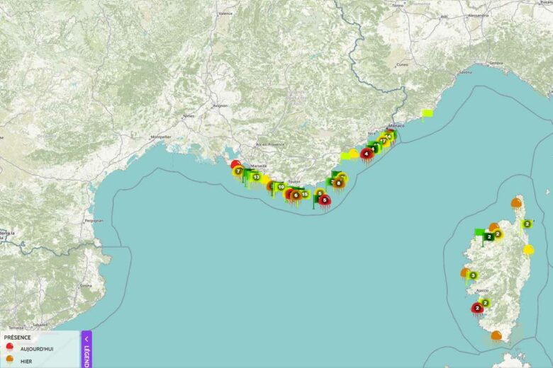 Une carte interactive qui signale la présence de méduses existe.