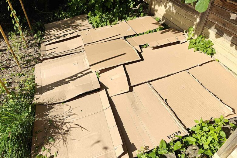 Savez-vous que vos cartons peuvent servir au jardin ?