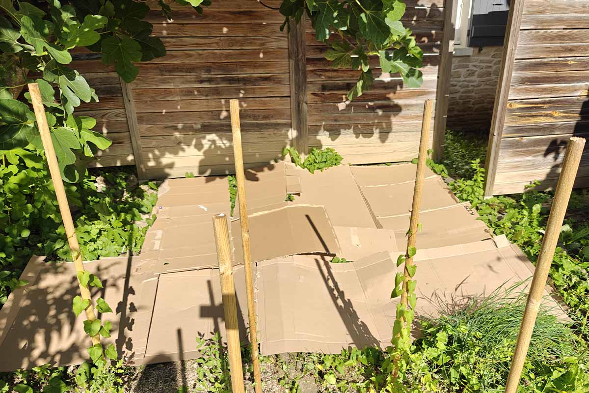 Disposer des cartons au sol dans le jardin apporte de nombreux avantages.