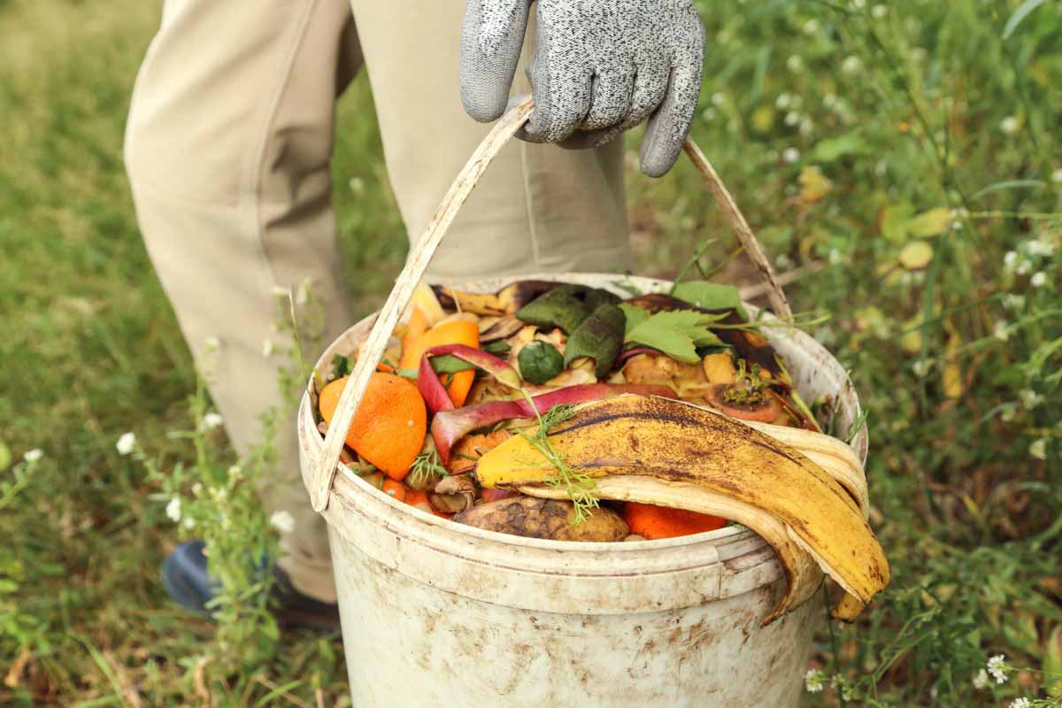 Les déchets alimentaires ne doivent pas se retrouver dans la nature.