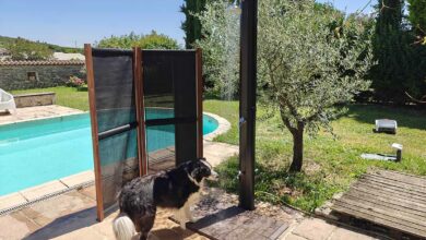 Une douche solaire qui ravit toute la famille et même les animaux !