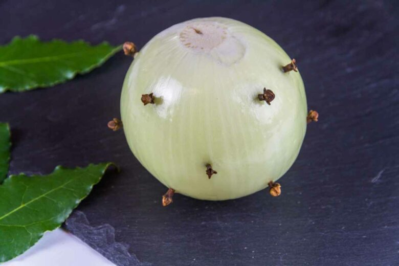 Un oignon planté de clous de girofle serait un excellent répulsif contre les mouches.