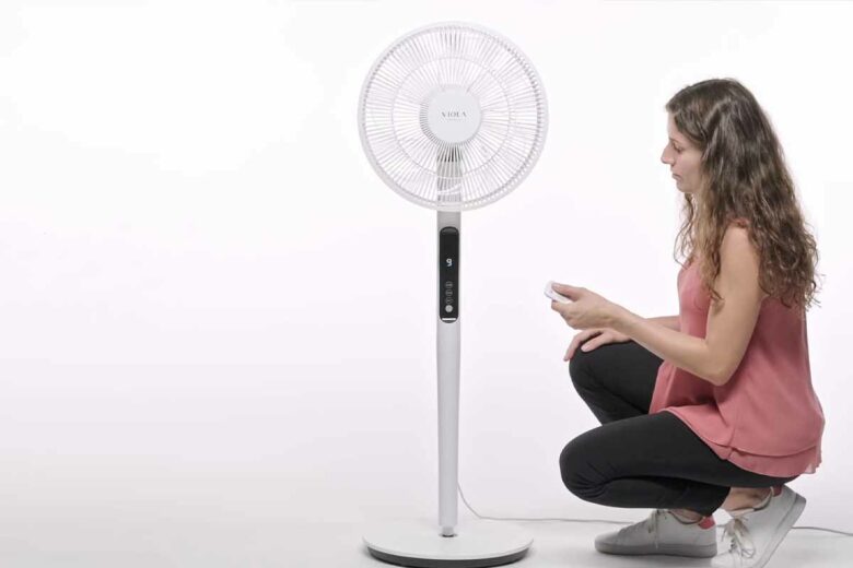 Vous pouvez piloter votre ventilateur à l'aide d'une télécommande.