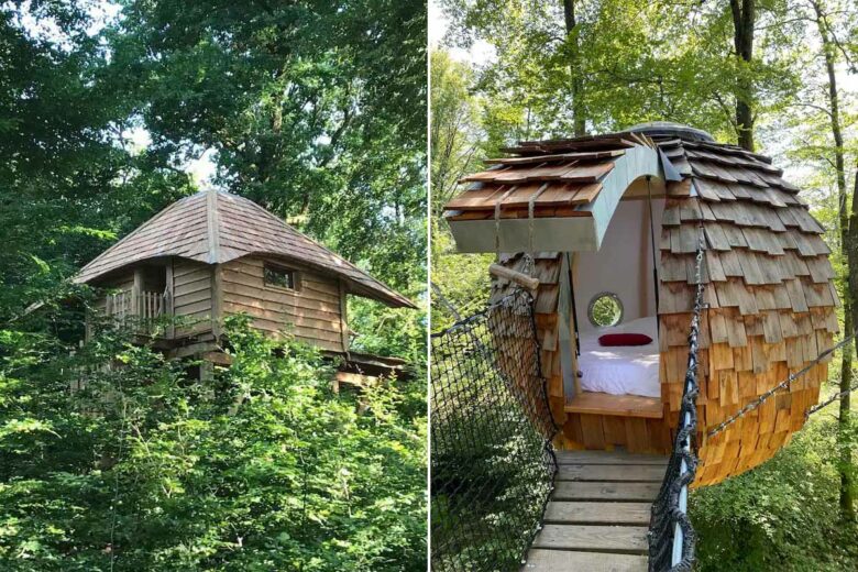 Une cabane et une chambre perchés dans les arbres.