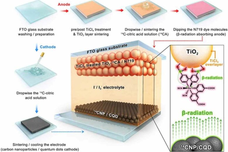 Schéma illustrant la méthode de fabrication de la cellule bêta.