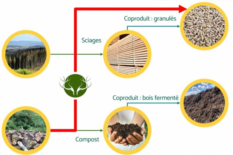 Grâce à un prétraitement de la matière, Melia valorise le bois bocager pour produire des granulés.