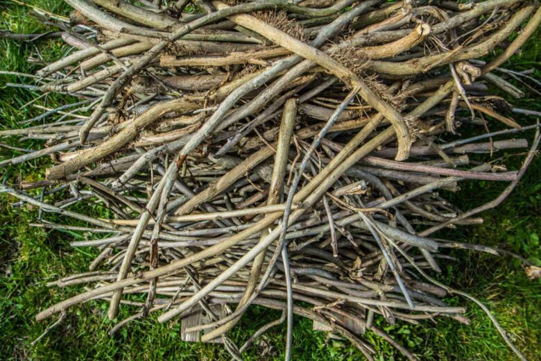 Ces branchages pourront être revalorisés en pellets de bois.