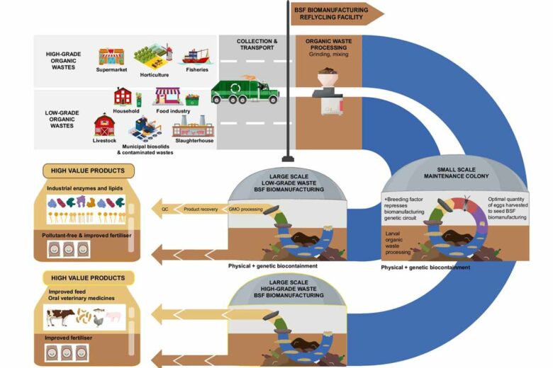 Schématisation du circuit de recyclage de déchets.