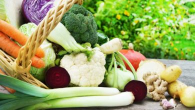 Un bel assortiment de légumes d'hiver.